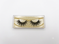 Strip Lash